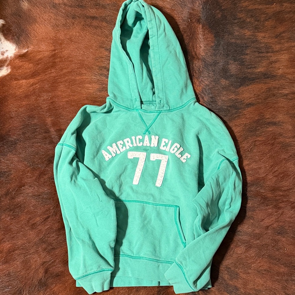 American Eagle Mint Green Sweatshirt